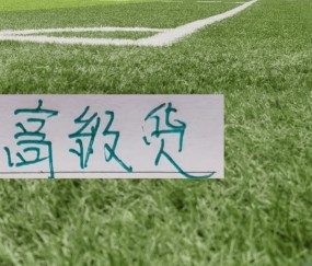 北京国安也淘到高级货 从去年日本联赛达万 再到德甲后卫拉莫斯