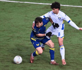 意甲:萨索洛状态有所起伏,维罗纳近期表现尴尬