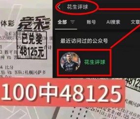 德甲焦点战：云达不来梅VS科隆——攻防博弈下的胜负悬念